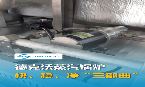 德克沃蒸汽鍋爐丨快、穩(wěn)、凈&ldquo;三部曲&rdquo;